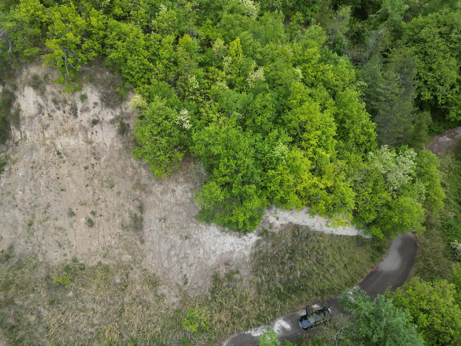 Rilievo zenitale del bosco e della strada prima dei lavori