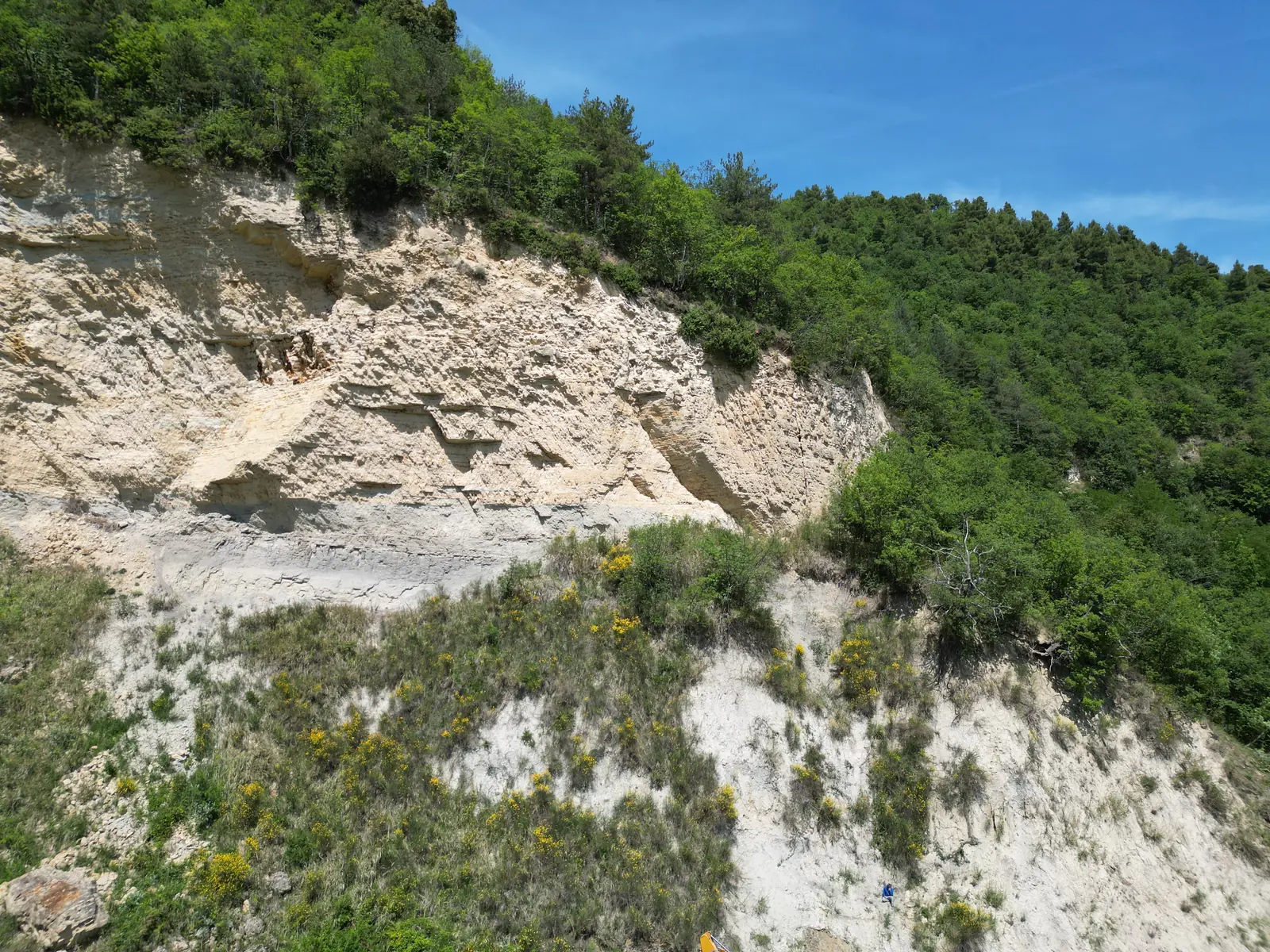 Inizio cantiere: scarpata disboscata sotto la parete rocciosa
